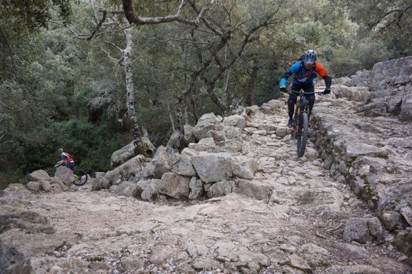 MTB Bike Station - Downhill Enduro - Santa Ponca Mountainbiker fährt auf felsigem Terrain, umgeben von Bäumen und grünem Unterholz.